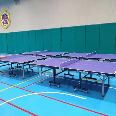 體育康體用品工程案例 13